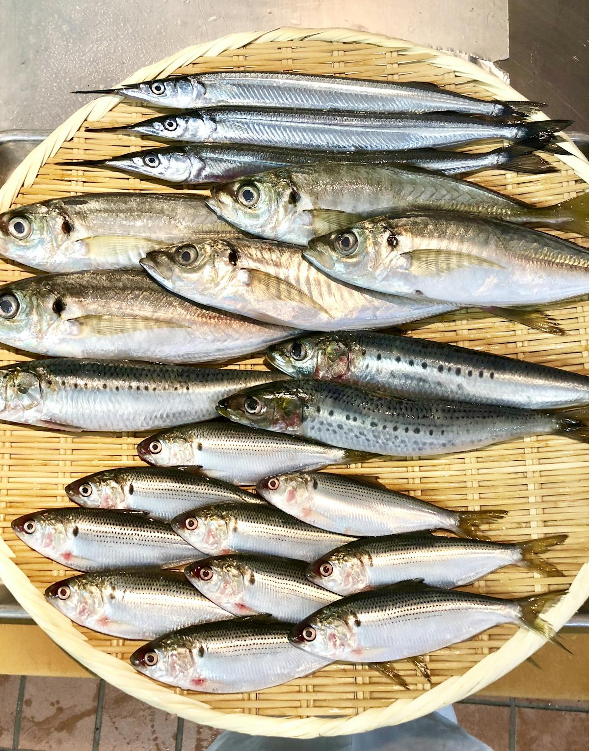 A Legacy of Sushi Excellence Since 1976